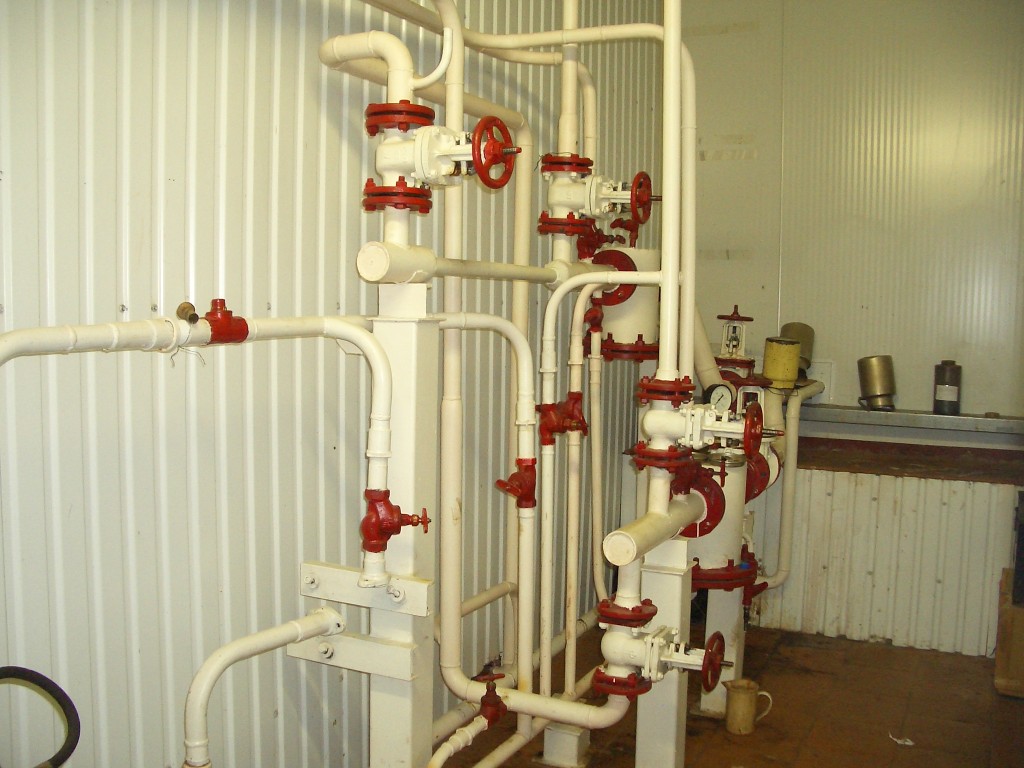 IMGP2890