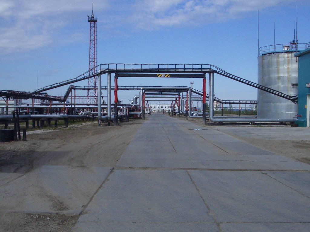 IMGP2906