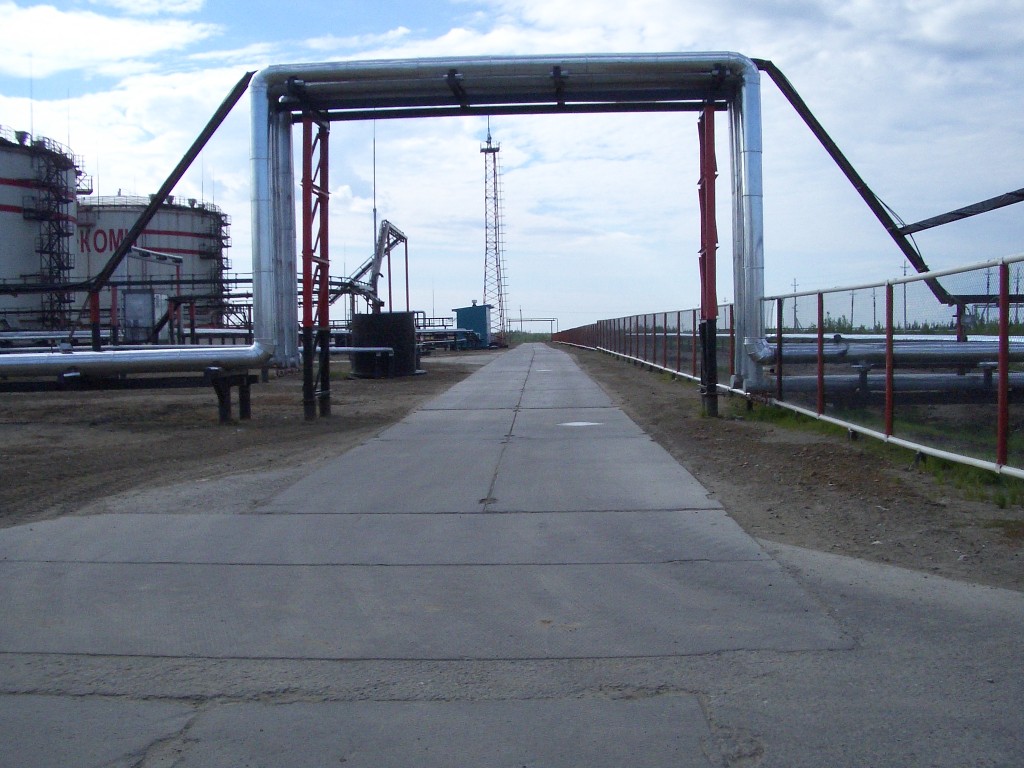 IMGP2915