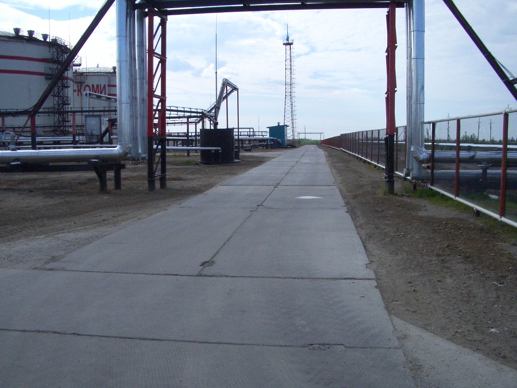 IMGP2916